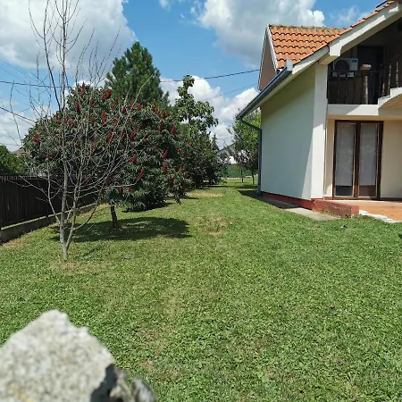 Big Borak Veliki Borak